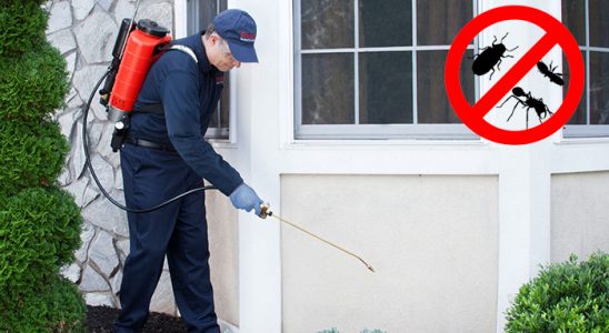Mucur Böcek ve Haşere İlaçlama böcek ilaçlama ve haşere kontrolü — ilaclama-tr.com